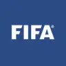 FIFA Official