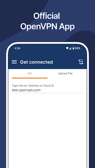 OpenVPN Connect