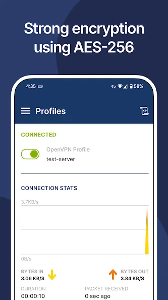 OpenVPN Connect