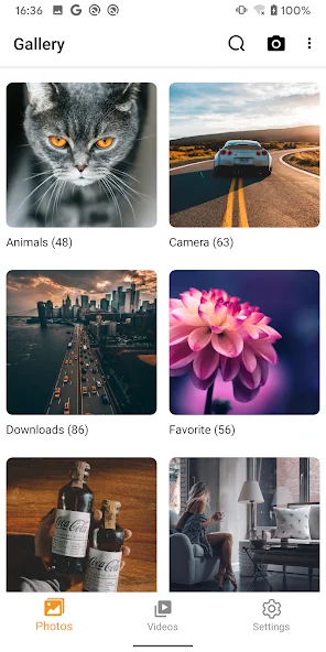 Gallery