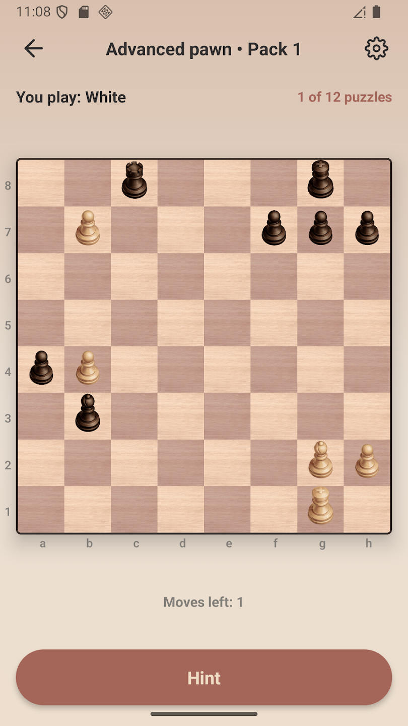 Chess Pro