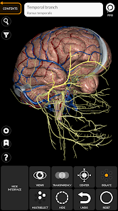 3D Anatomy