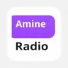 Amine Radio TV