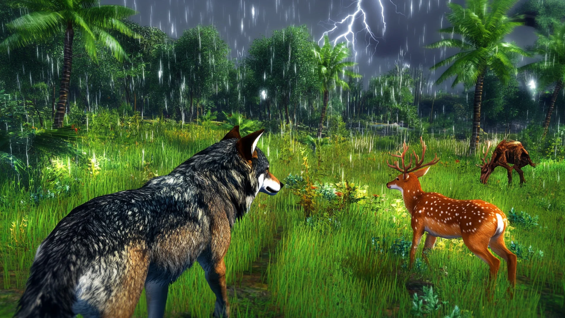 The Wolf