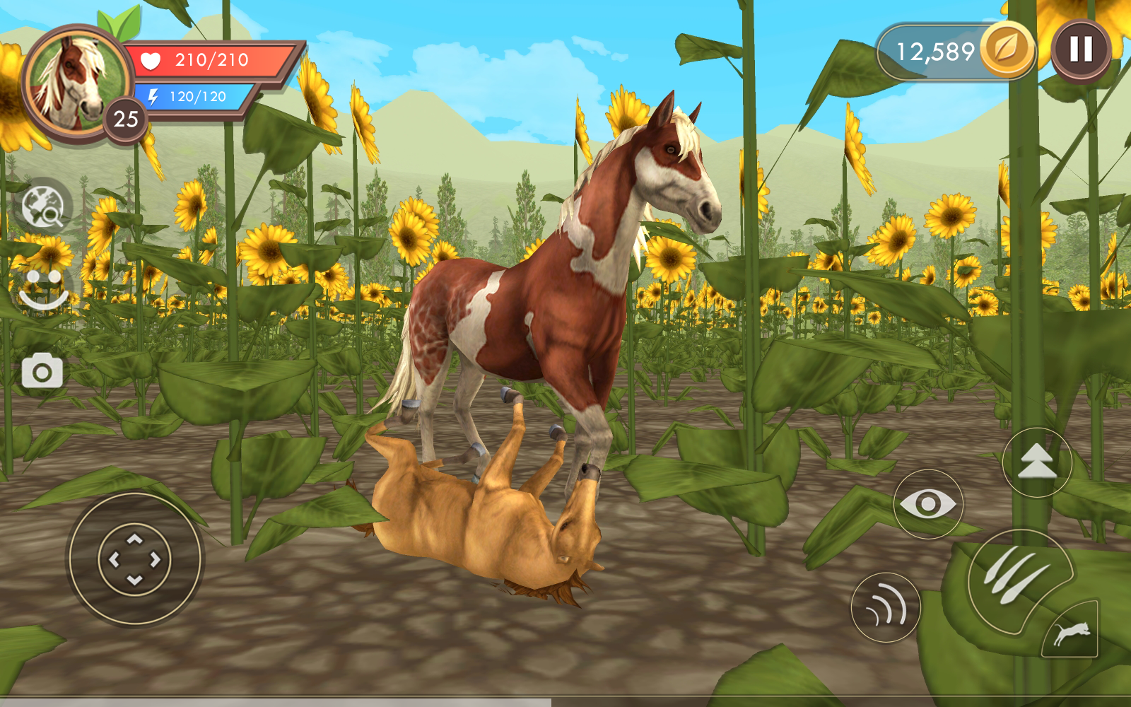 Wild Craft