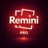 Remini